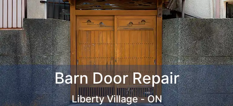 Barn Door Repair Liberty Village - ON