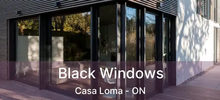 Black Windows Casa Loma - ON