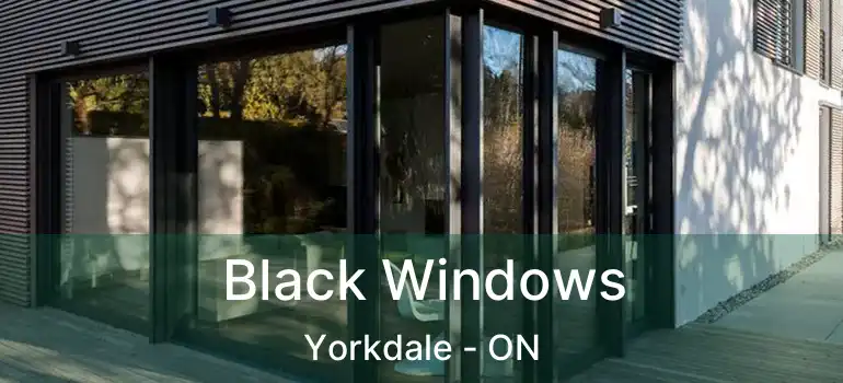 Black Windows Yorkdale - ON
