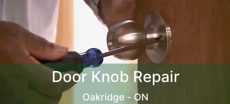 Door Knob Repair Oakridge - ON