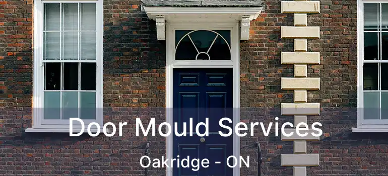 Door Mould Services Oakridge - ON