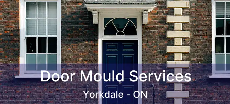 Door Mould Services Yorkdale - ON
