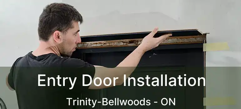 Entry Door Installation Trinity-Bellwoods - ON