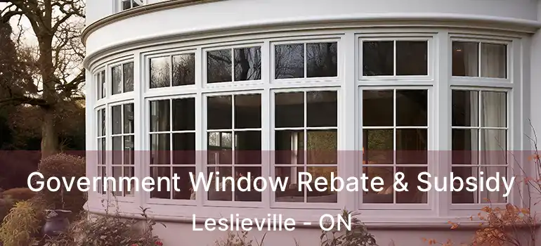  Government Window Rebate & Subsidy Leslieville - ON