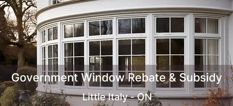  Government Window Rebate & Subsidy Little Italy - ON