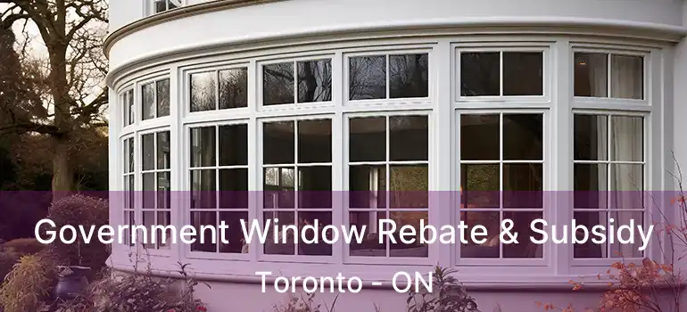 Government Window Rebate & Subsidy Toronto - ON