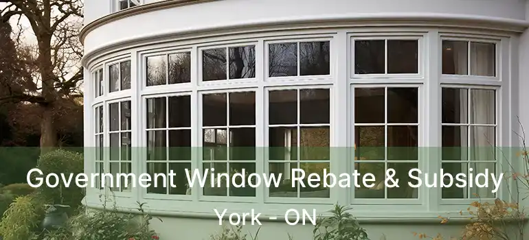  Government Window Rebate & Subsidy York - ON