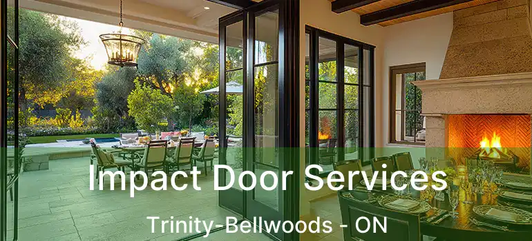 Impact Door Services Trinity-Bellwoods - ON