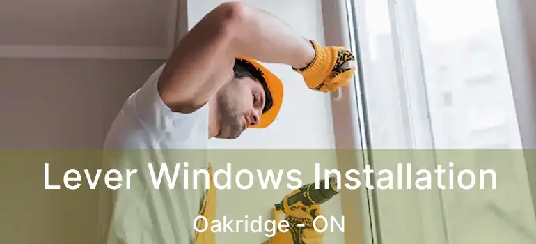Lever Windows Installation Oakridge - ON