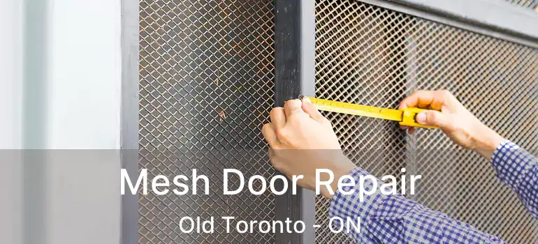 Mesh Door Repair Old Toronto - ON