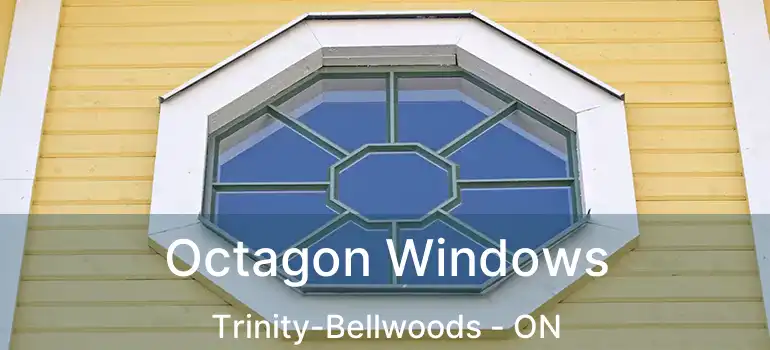  Octagon Windows Trinity-Bellwoods - ON