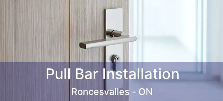 Pull Bar Installation Roncesvalles - ON