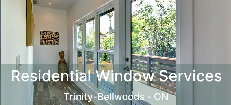 Residential Window Services Trinity-Bellwoods - ON