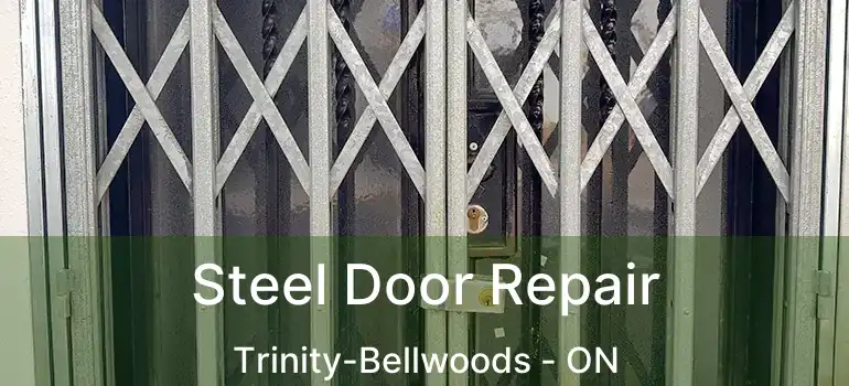 Steel Door Repair Trinity-Bellwoods - ON