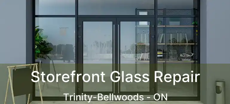 Storefront Glass Repair Trinity-Bellwoods - ON