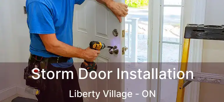 Storm Door Installation Liberty Village - ON