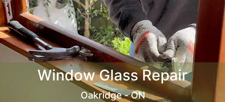 Window Glass Repair Oakridge - ON