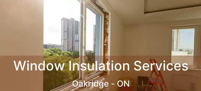 Window Insulation Services Oakridge - ON