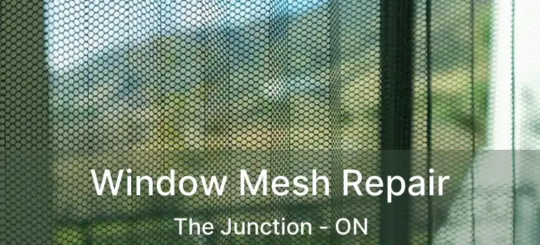 Window Mesh Repair The Junction - ON